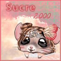 sucre2000