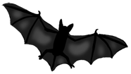 Chauve-souris Halloween