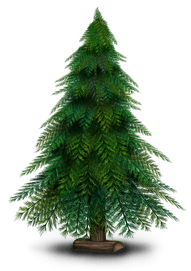 Sapin de Noël