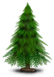 Sapin de Noël