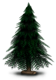 Sapin de Noël