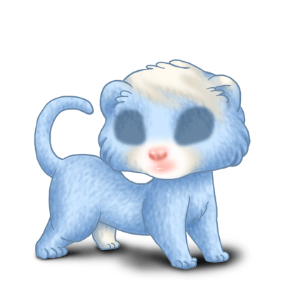 Adopte un(e) Furet Bleu Pastel