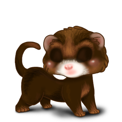 Adopte un(e) Furet Chocolat