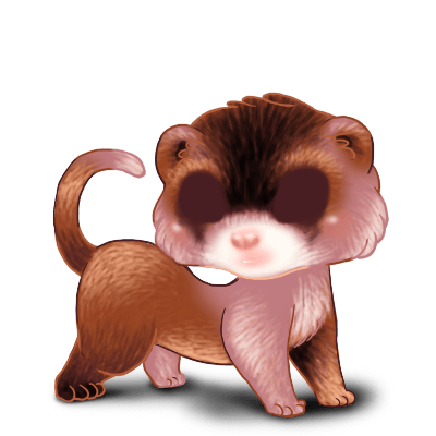 Adopte un(e) Furet Pistache