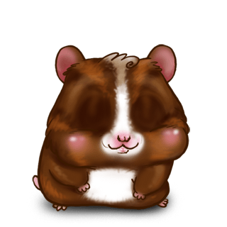 Adopte un(e) Hamster Chocolat au lait