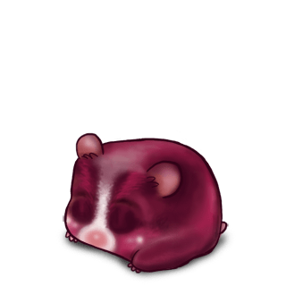 Adopte un(e) Hamster Fushia