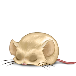 Adopte un(e) Souris Beige Brun