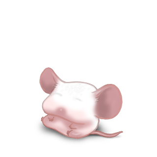 Adopte un(e) Souris Blanche