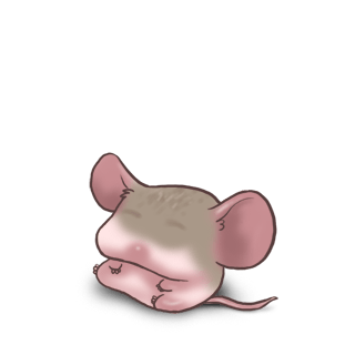 Adopte un(e) Souris Grise