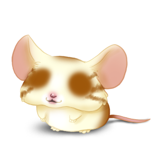 Adopte un(e) Souris Blondy