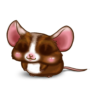 Adopte un(e) Souris Chocolat au lait