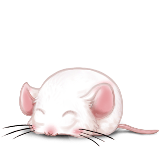 Adopte un(e) Souris Albinos 