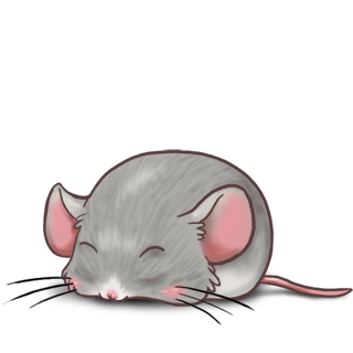 Adopte un(e) Souris Argenté