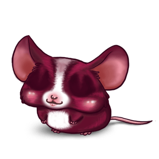 Adopte un(e) Souris Fushia