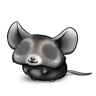 Adopte un(e) Souris Noir et Blanc