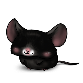 Adopte un(e) Souris Noire