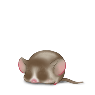 Adopte un(e) Souris Praline