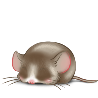 Adopte un(e) Souris Praline