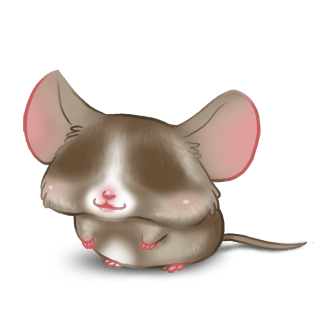 Adopte un(e) Souris Praline