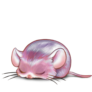 Adopte un(e) Souris Quartz Rose