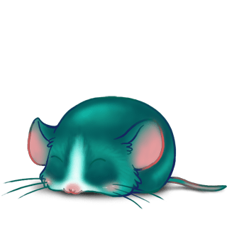 Adopte un(e) Souris Turquoise