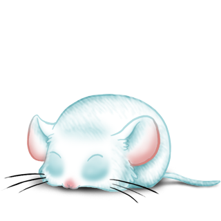 Adopte un(e) Souris Neige