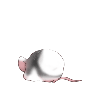 Adopte un(e) Souris Encre